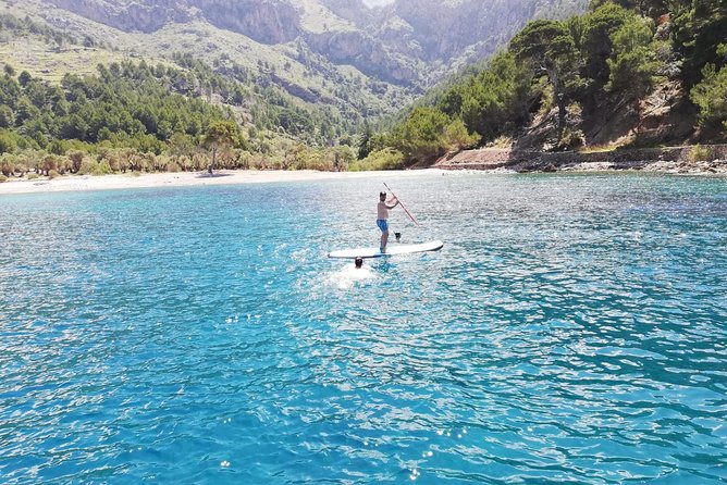 Half Day Sailing Excursion along the Coast - Sa Calobra: end-of-day cove energy with the views advantage