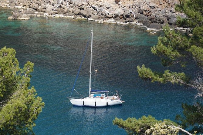 Half Day Sailing Excursion along the Coast with Sunset - Private for Up to 8: Who This Best Fits