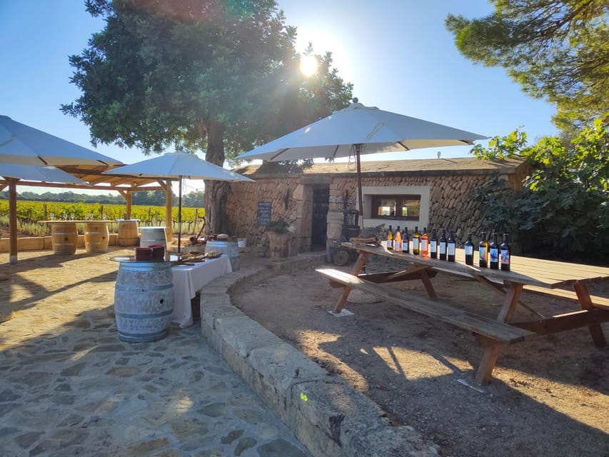 Llucmajor: Bodegas Bordoy Wine Tour - Key things I’d circle before you book