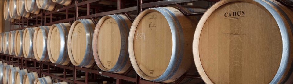 Llucmajor: Bodegas Bordoy Wine Tour - Why Bodegas Bordoy in Llucmajor is such a good match for a wine afternoon