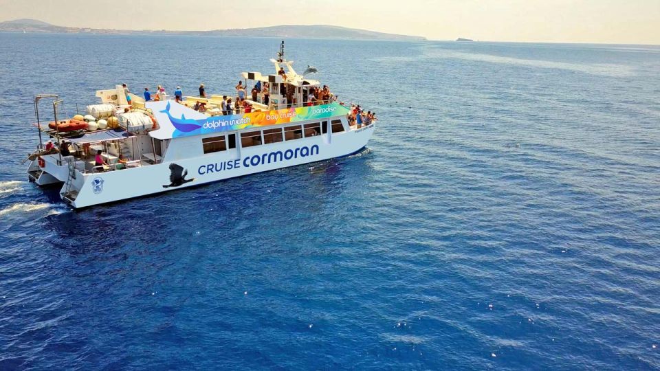 Mallorca: 2-Hour Dolphin Watching Cruise & Glass-Bottom Boat - Why This 2-Hour Dolphin Cruise Works So Well in Mallorca