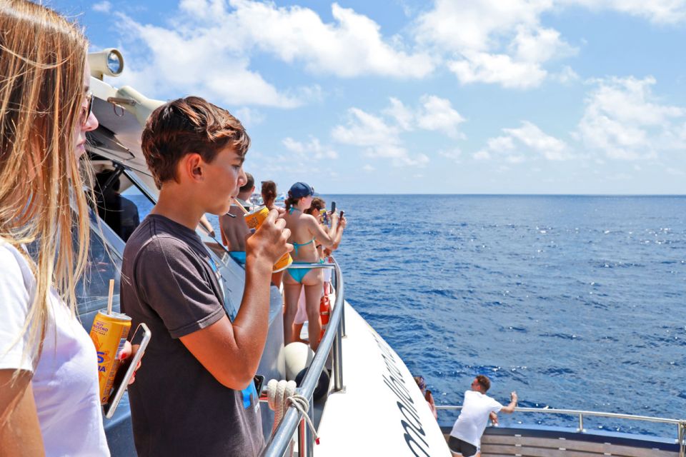 Mallorca: 2-Hour Dolphin Watching Cruise & Glass-Bottom Boat - Water Conditions and the On-Boat Reality: Choppy Seas Happen