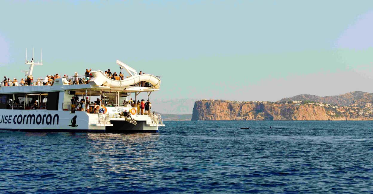 Mallorca: 2-Hour Dolphin Watching Cruise & Glass-Bottom Boat - Bar, Drinks, and Snacks: How the Onboard Pricing Feels