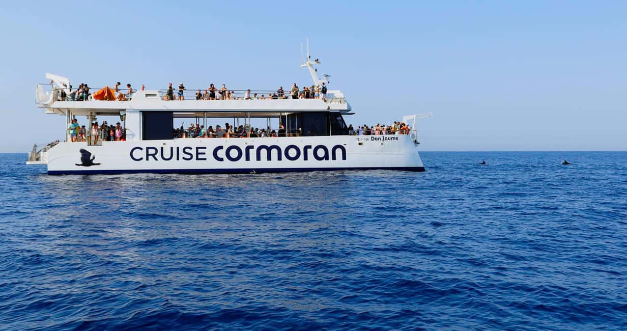 Mallorca: 2-Hour Dolphin Watching Cruise & Glass-Bottom Boat - Mallorca’s Coast from the Water: Why the Views Still Matter