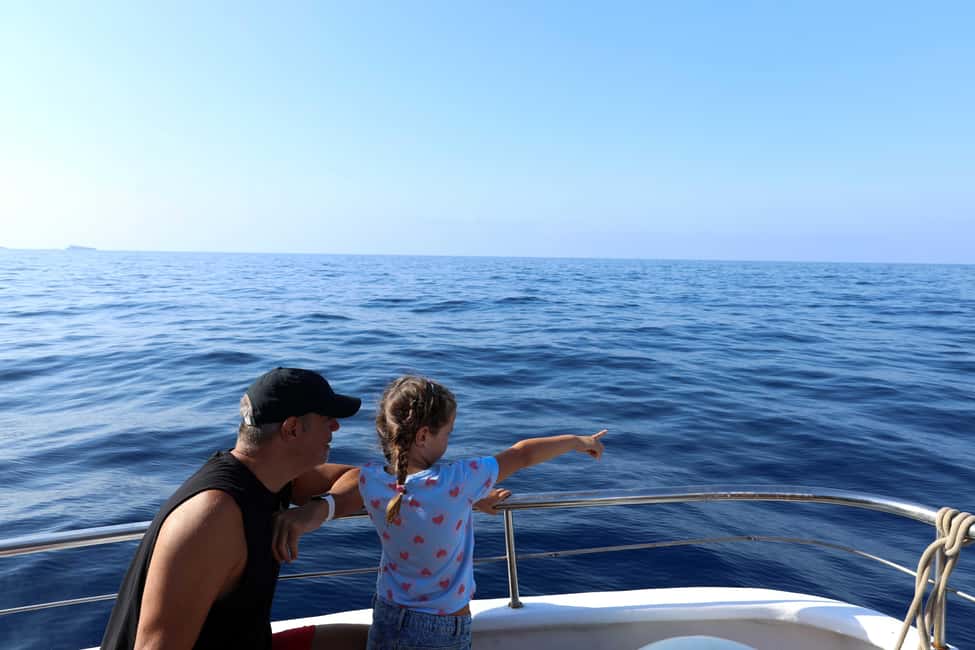 Mallorca: 3-Hour Afternoon Dolphin Watching Boat Tour - What you’re paying for: onboard bars, entertainment, and the value of 3 hours