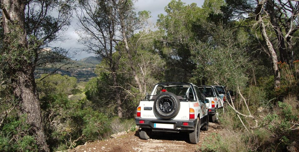 Mallorca: Beach and Mountain 4X4 Tour - How a half-day 4x4 turns Mallorca into a hands-on road trip