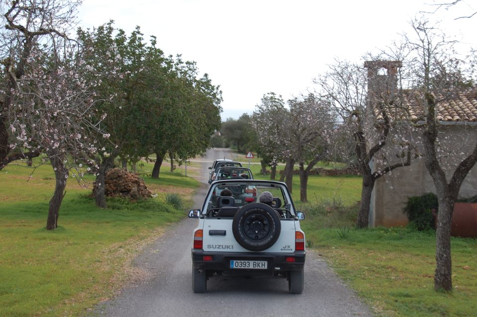 Mallorca: Beach and Mountain 4X4 Tour - Who this tour suits best (and who should skip it)