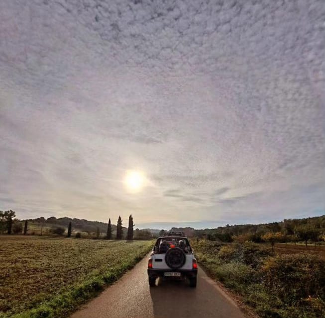 Mallorca: Beach and Mountain 4X4 Tour - Should you book this Mallorca Beach and Mountain 4x4 Tour?