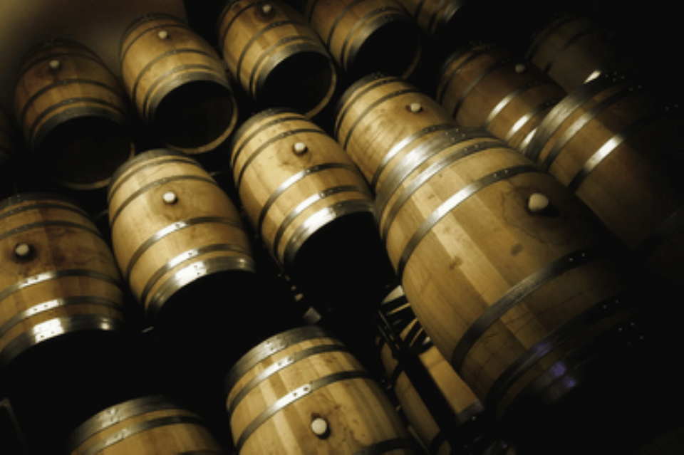 Mallorca: Bodega Butxet Vineyards & Winery Tour with Tasting - Quick reasons to go