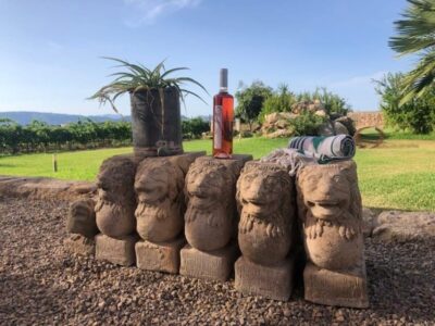Mallorca: Bodega Butxet Vineyards & Winery Tour with Tasting - The 1-Hour Vineyard Walk: What You Learn Outdoors