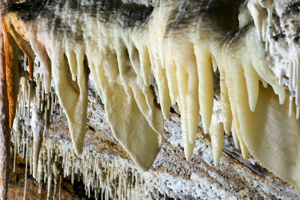 Mallorca: Campanet Caves Entry Ticket - Campanet Caves on Mallorca: a short trip that still feels special