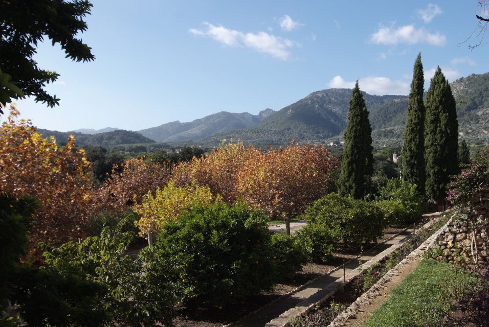 Mallorca: Campanet Caves Entry Ticket - Temperature and cave rules: small things that affect comfort