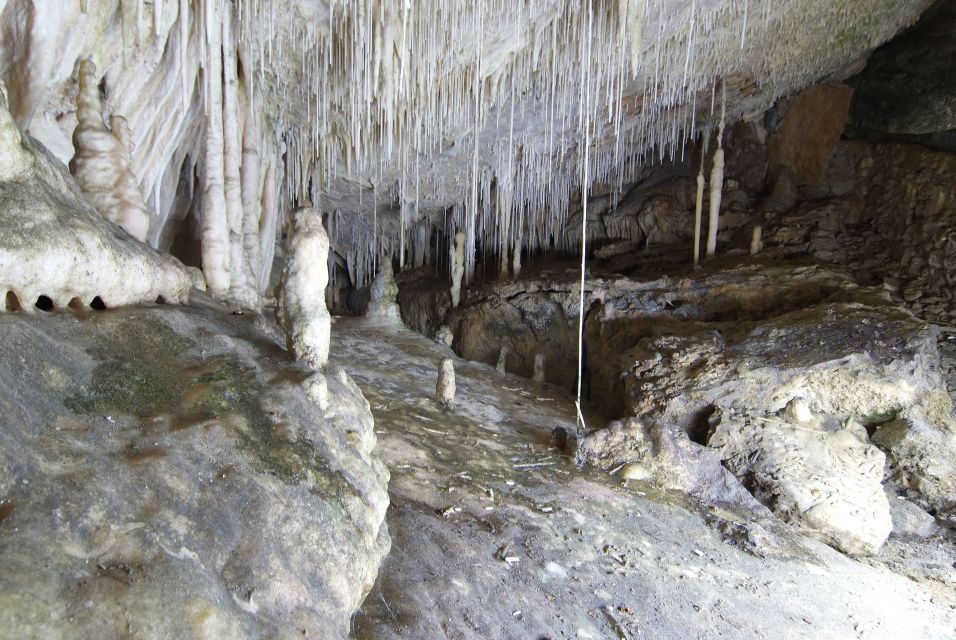 Mallorca: Campanet Caves Entry Ticket - Entering the three chambers: what you’ll actually see underground