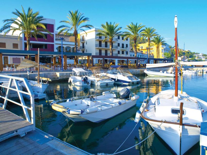 Mallorca: Catamaran Coastal Cruise with Lunch - Key Highlights You’ll Actually Care About