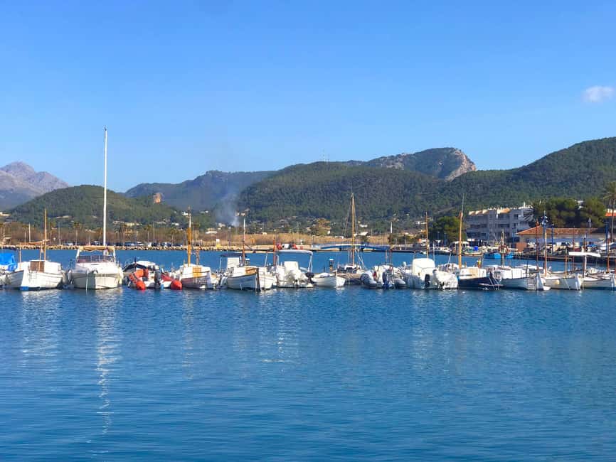 Mallorca: Catamaran Coastal Cruise with Lunch - Price and Value: Why $54 Can Make Sense Here