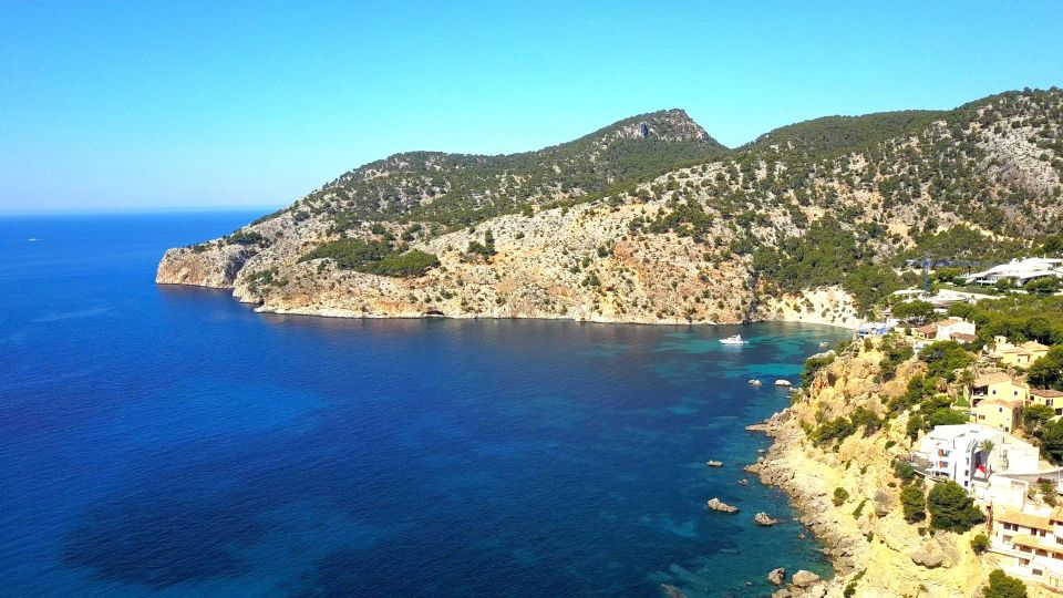 Mallorca: Catamaran Coastal Cruise with Lunch - Cala Egos Swim Stop: The Best Reason to Show Up Early
