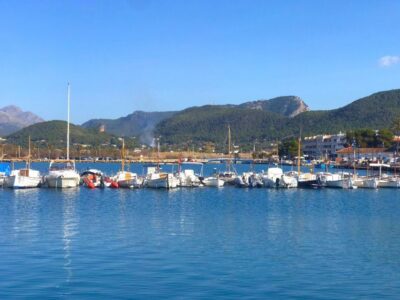 Mallorca: Catamaran Coastal Cruise with Lunch - The Hull Windows: See the Water Without a Full Snorkel Setup