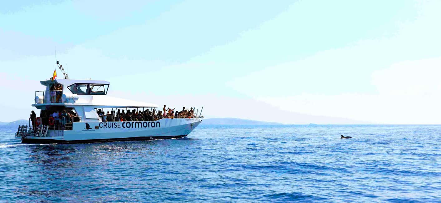 Mallorca: Catamaran Coastal Cruise with Lunch - Drinks and the Onboard Bars: What Costs Extra (and How to Plan)