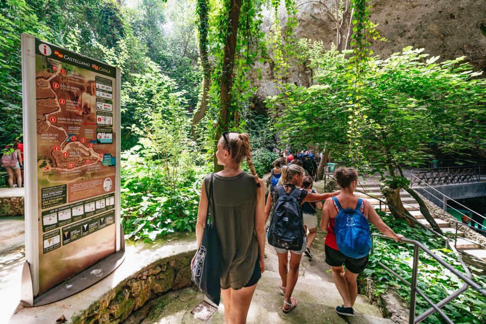 Mallorca: Caves of Drach Day Trip & Optional Caves of Hams - Key Highlights You’ll Remember