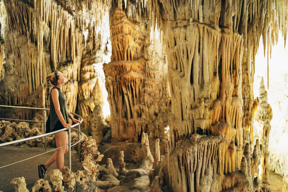 Mallorca: Caves of Drach Day Trip & Optional Caves of Hams - Time, Price, and Value: What You’re Actually Paying For