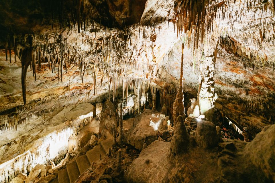 Mallorca: Caves of Drach Day Trip & Optional Caves of Hams - Should You Book This Drach and Hams Tour?