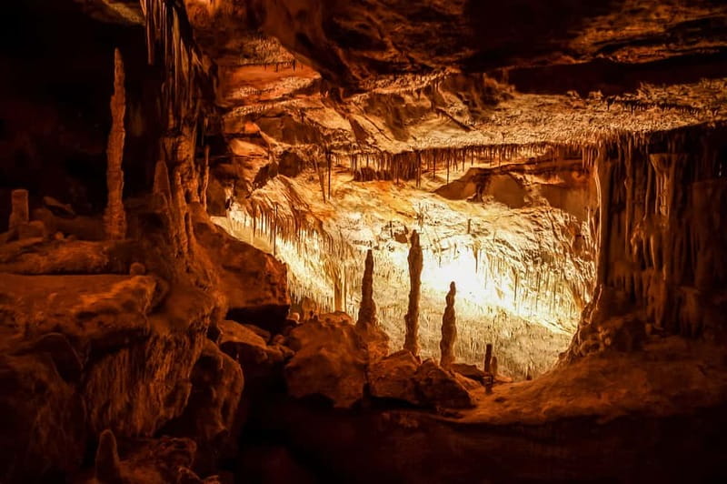 Mallorca: Caves of Drach Tour from the North with Boat Trip - Key highlights at a glance