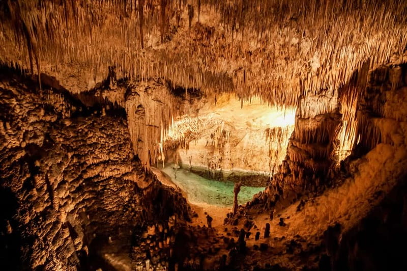 Mallorca: Caves of Drach Tour from the North with Boat Trip - Pearl factory / exhibition: why it’s included and how to get more from it