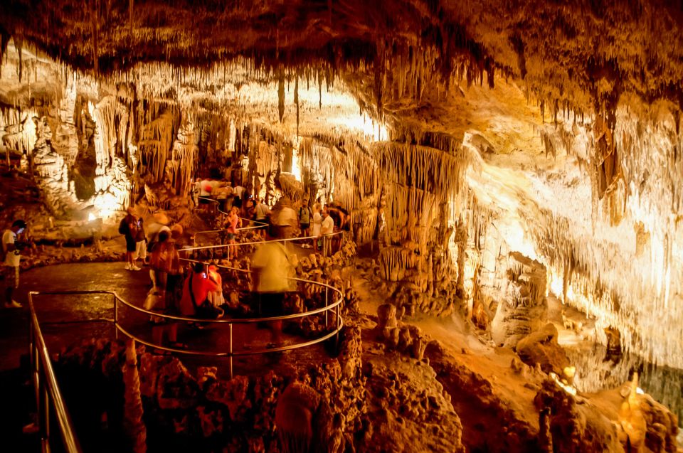 Mallorca: Caves of Drach Tour from the North with Boat Trip - From Alcúdia pickup to the cave entrance: where logistics make or break it