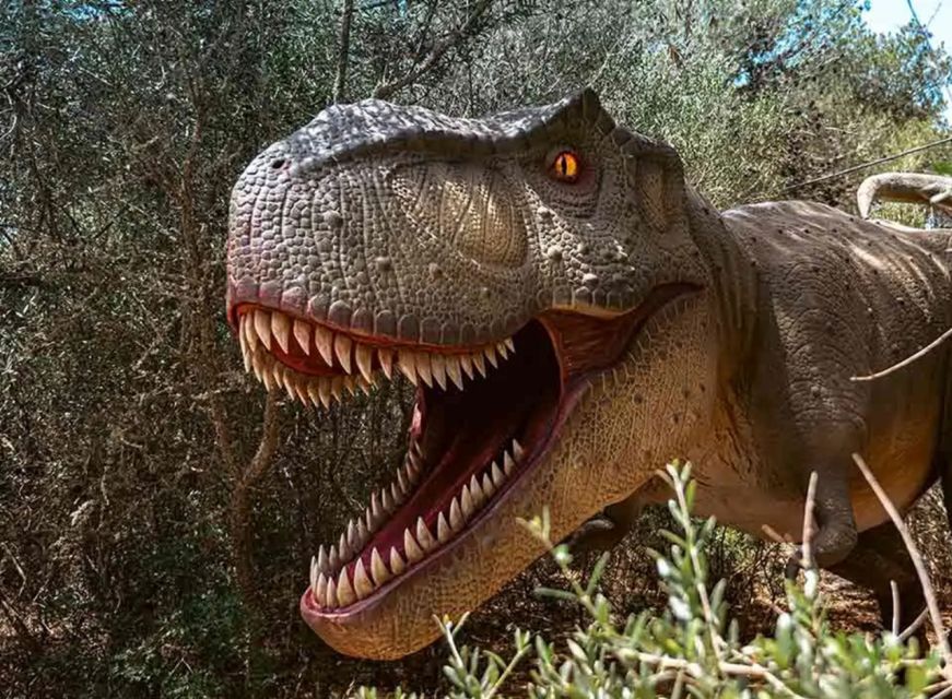 Mallorca: Caves of Hams and Dinosaurland Ticket with Pickup - Key highlights before you go