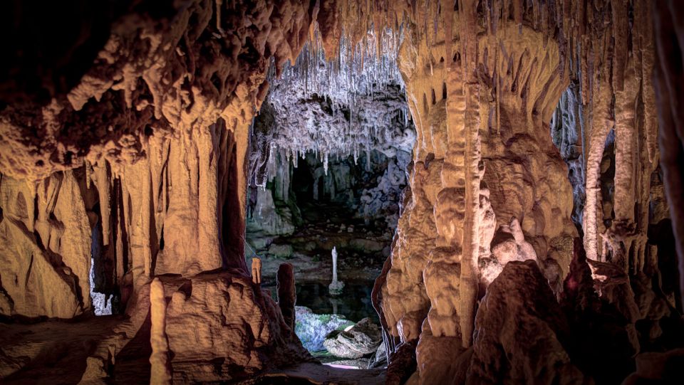 Mallorca: Caves of Hams and Dinosaurland Ticket with Pickup - Why Caves of Hams + Dinosaurland works so well