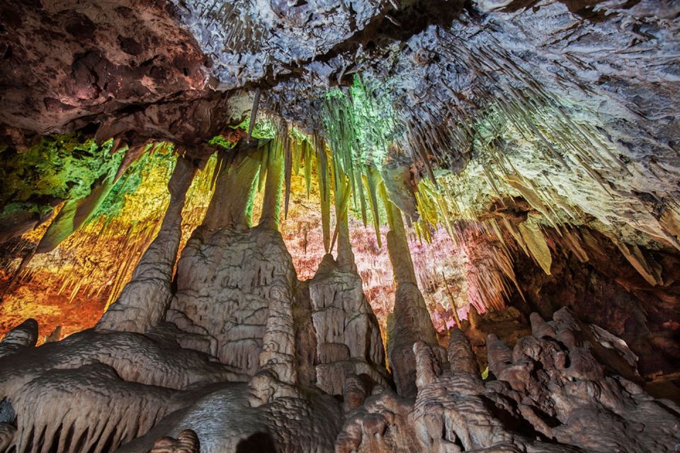 Mallorca: Caves of Hams and Dinosaurland Ticket with Pickup - Dinosaurland next door: learning on your own, with real choices