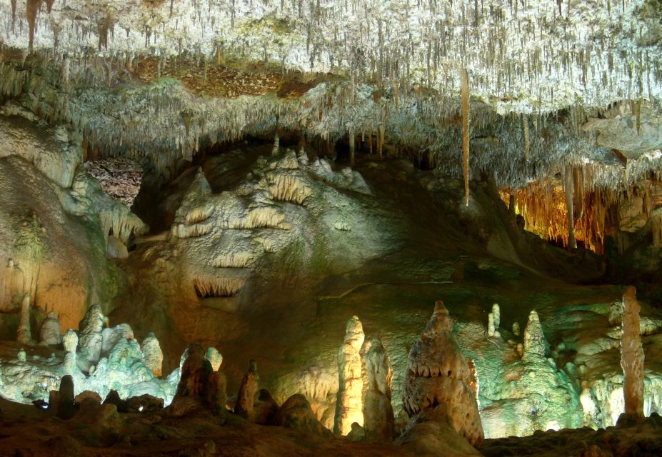 Mallorca: Caves of Hams and Dinosaurland Ticket with Pickup - How to plan your day around this tour