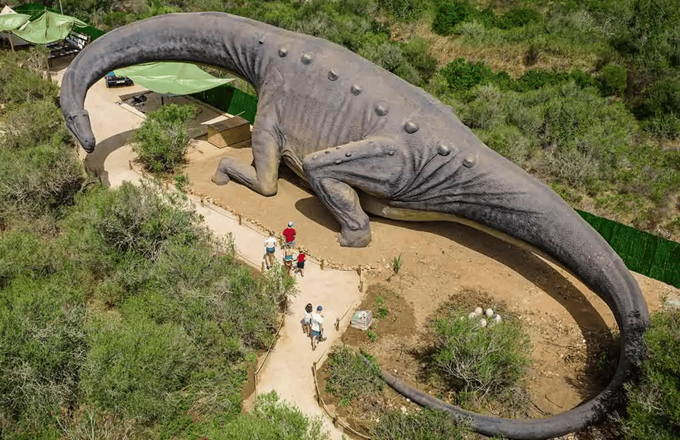 Mallorca: Caves of Hams and Dinosaurland Ticket with Pickup - Practical notes from real-world timing