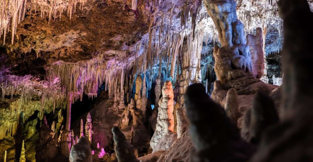 Mallorca: Day Trip to Caves of Hams & Optional Dinosaurland - The Bus Ride and Pickup Times: Why It Can Feel Long