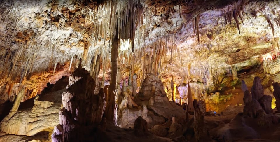 Mallorca: Day Trip to Caves of Hams & Optional Dinosaurland - Who This Tour Fits Best