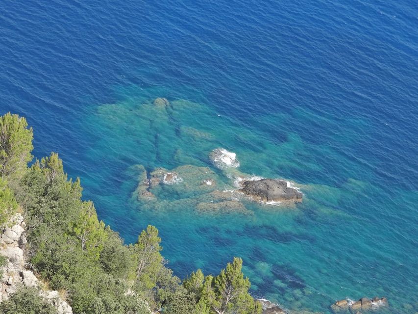 Mallorca: Day Trip to Hidden Gems of Tramuntana with Lunch - Sóller Olive Oil Mill: an owner-led tour you can actually talk to