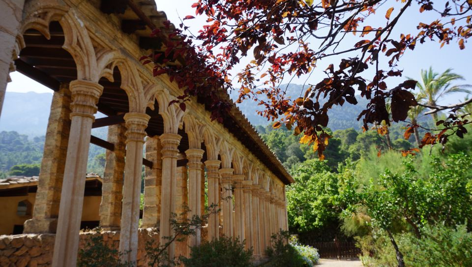 Mallorca: Day Trip to Hidden Gems of Tramuntana with Lunch - Price and value: is $147 worth it?