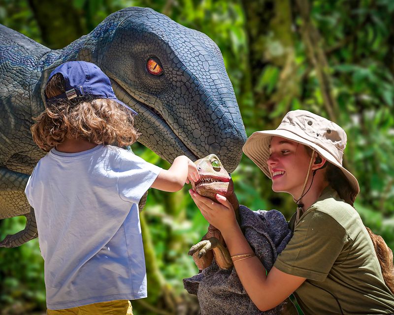 Mallorca: Dinosaurland and Caves of Hams Combined Ticket - Blue Cave Shows: Discovering the Past and Genesis on the Rock