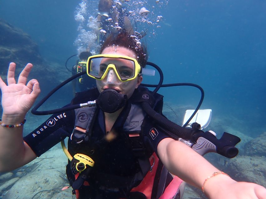 Mallorca: Discover Scuba Diving for Beginners - The protected marine reserve: what you’ll likely see at first-timer depth