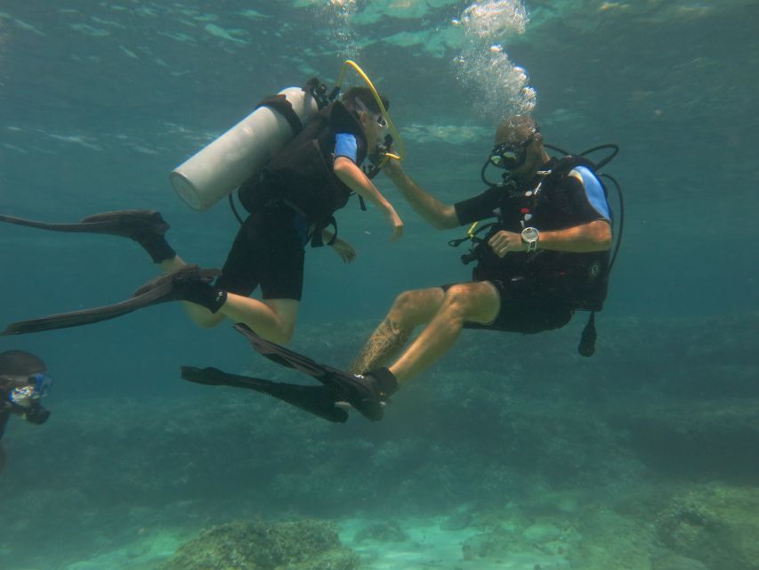 Mallorca: Discover Scuba Diving for Beginners - Shore entry logistics: minivan rides and the heavy-kit walk
