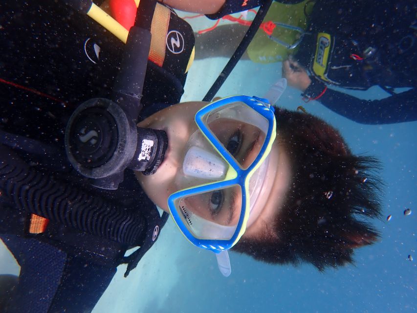 Mallorca: Discover Scuba Diving for Beginners - Price and value at about $176 per person