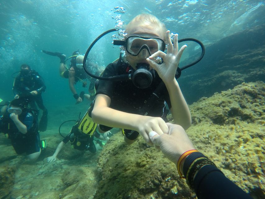 Mallorca: Discover Scuba Diving for Beginners - Who this is best for, and who should skip it
