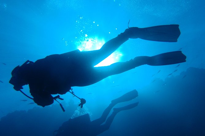 Mallorca: Discover Scuba Diving from the boat - Mallorca timing: why a 2:00 pm start can be the sweet spot