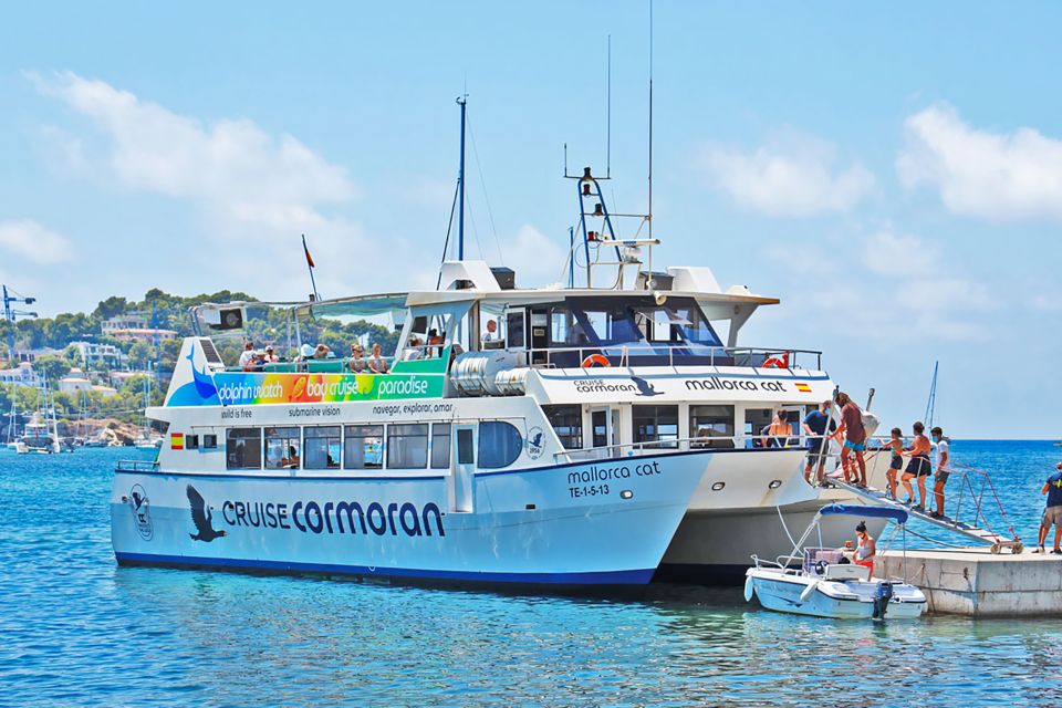 Mallorca: Dolphin Watching Cruise - The 3-hour dolphin search: what you’re looking for
