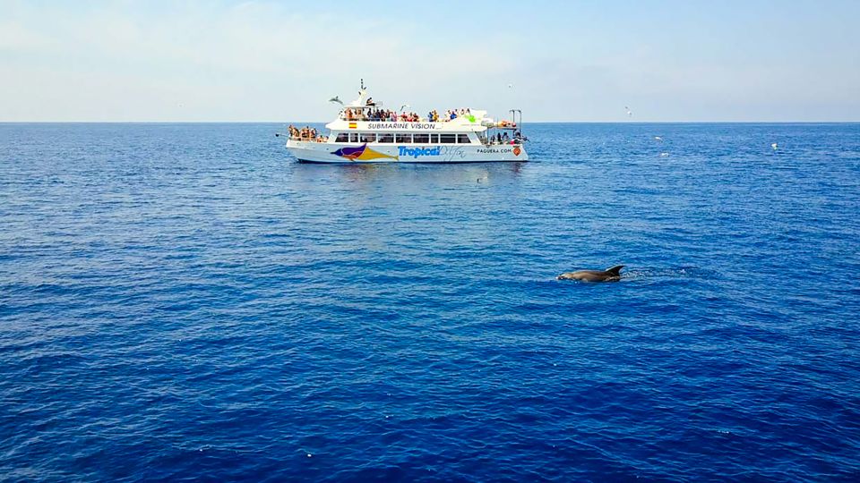 Mallorca: Dolphin Watching Cruise - Underwater viewing on the glass-bottom deck