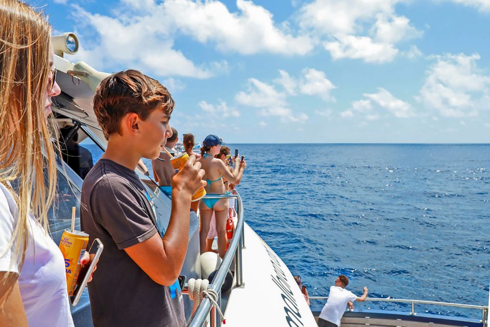 Mallorca: Dolphin Watching Cruise - Onboard comfort, bars, and keeping everyone happy