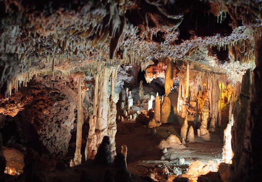 Mallorca: Drach and Hams Caves, and Porto Cristo Day Tour - Price and Value: What $93 Includes (and What You Should Decide For Yourself)