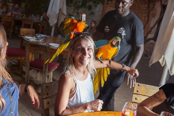 Mallorca Evening Tour: Horseback Riding, Dinner and Dance - The equestrian performance and the evening show that wraps it up
