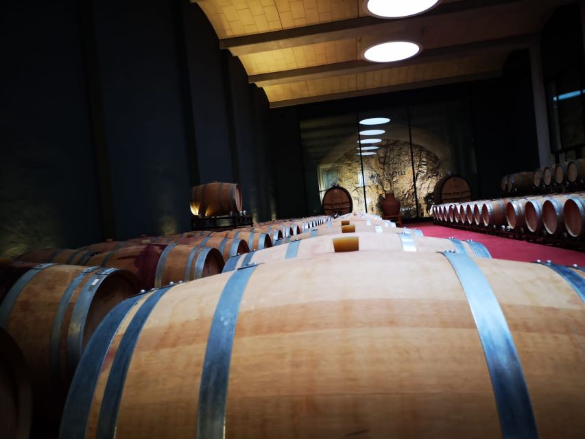 Mallorca: Full-Day Winery Small Group Tour - Key Things I’d Prioritize Before Booking