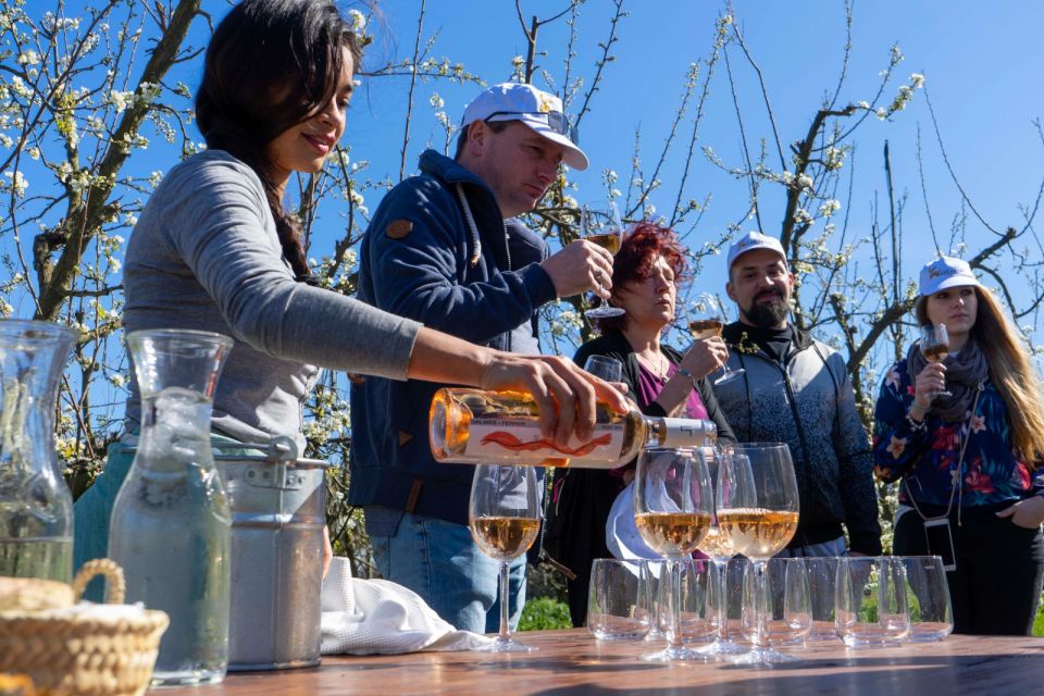 Mallorca: Full-Day Winery Small Group Tour - Price and Value: Is $221 Worth It?